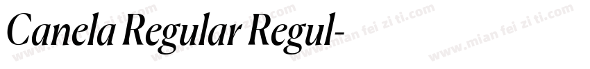 Canela Regular Regul字体转换